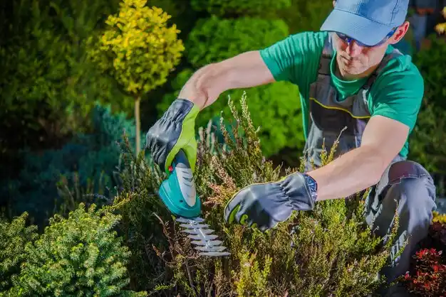 landscaping services Evart